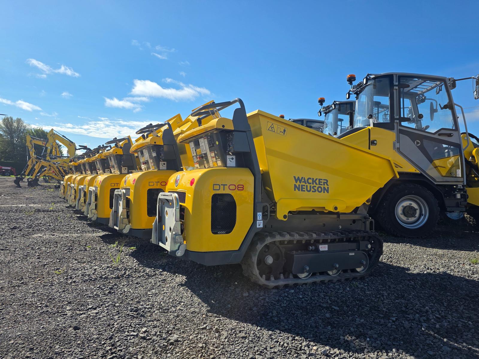Rangée de dumpers Wacker Neuson DT08 chez le concessionnaire, benne du premier plan basculée, chargeuses en arrière-plan